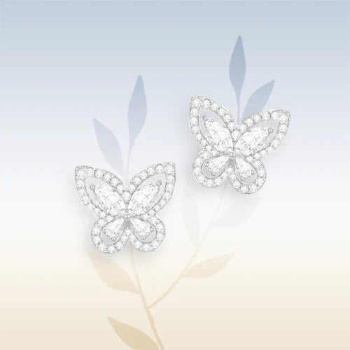 Butterfly Collection