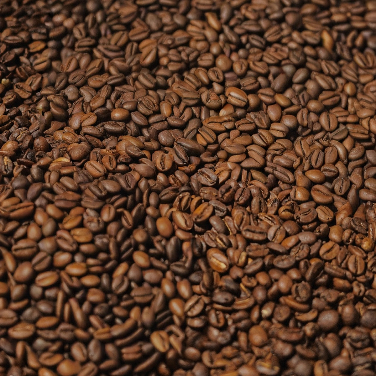 Brazil El Dorado Coffee