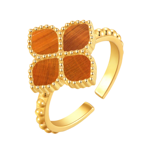 Joory / Ring Tiger Eye Gold