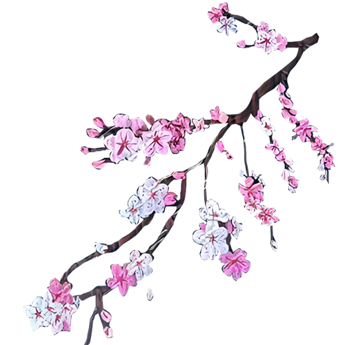 شنطة اليد اليازية