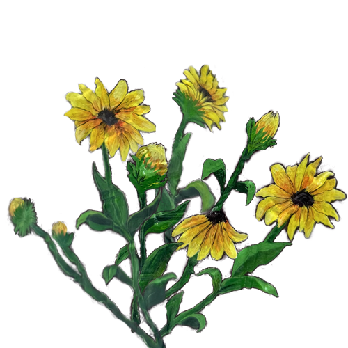 شنطة اليد اليازية